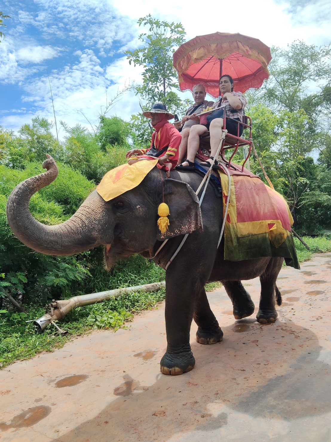 Chang Puak Camp Damnoen Saduak (Single Activity Tickets (A la carte))