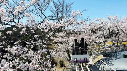 Japan Sea Kyoto Amanohashidate + Ine Funaya Day Trip – Optional includes cable car and boat tour