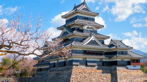 Official ticket: JR pass Tateyama Kurobe, Takayama, Matsumoto area 5-day rail pass [free global EMS shipping - dispatched from Taiwan] Transport Passes