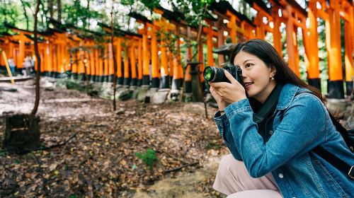 One-Day Tour of Kyoto's Highlights from Osaka/Kyoto Day Tours