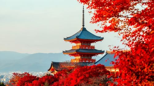 [Osaka + Kyoto popular must-visit 1-day tour] Kiyomizu-dera Temple + Yasaka Shrine + Fushimi Inari Taisha Day Tours