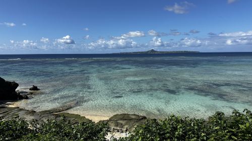 1-Day Tour in Northern Okinawa with Cape Manzamo, Aquarium and Kouri Island