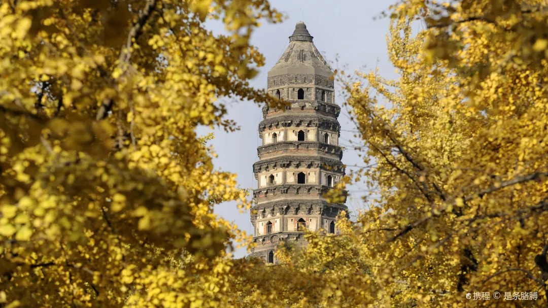 A one-day tour of Suzhou city highlights – Humble Administrator's Garden