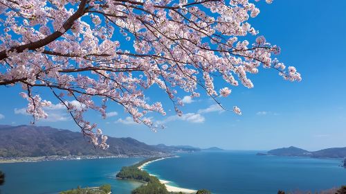 Kyoto Amanohashidate + Ine Funaya 1-Day Tour: Optional Amanohashidate Chairlift and Monorail + Ine Bay Cruise Day Tours