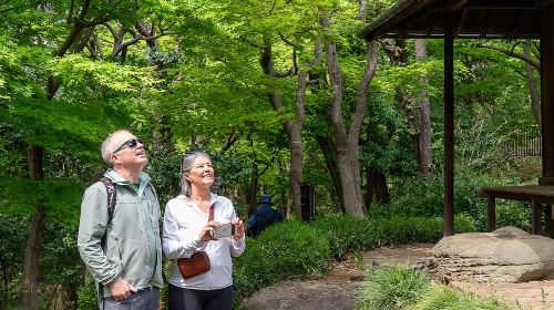 3-Hour Tokyo Private E-Bike Tour Starting from Your Hotel Day Tours