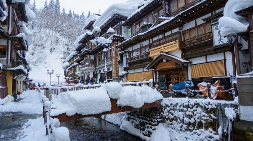 Official ticket: JR pass Tateyama Kurobe, Takayama, Matsumoto area 5-day rail pass [free global EMS shipping - dispatched from Taiwan] Transport Passes