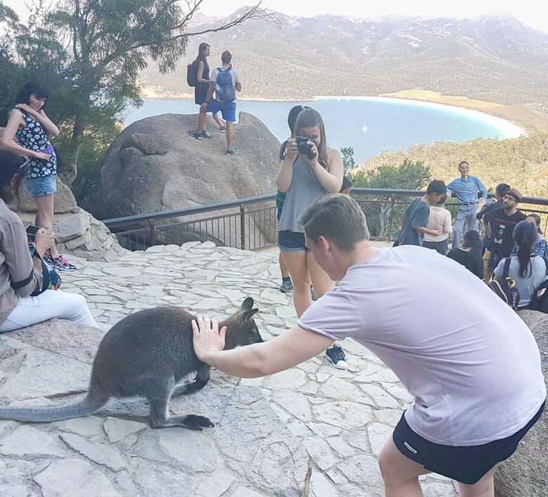 Wineglass Bay & Freycinet National Park Day Trip from Hobart