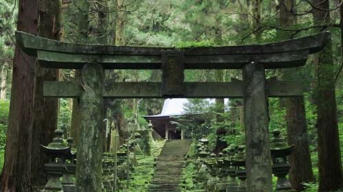 Private charter to Kumamoto round-trip, Kusasenri, Mount Aso and Kamishikimi Kumanoimasu Shrine in Japan