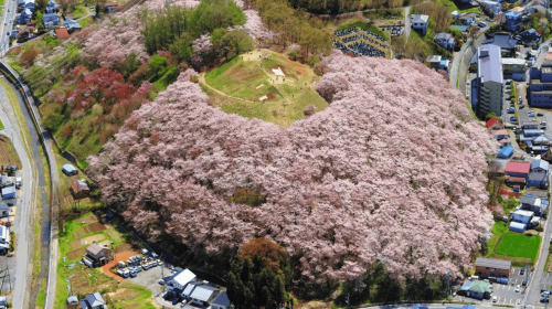 Private chartered 1-day tour in Nagoya/Tokyo to Kamikochi + Taisho Ike Pond + Azusa River + Kappa Bridge + Myojin Pond