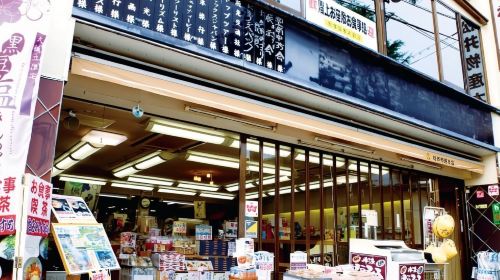 From Osaka: Amanohashidate, Ine Bay, and Miyama Day Trip Day Tours