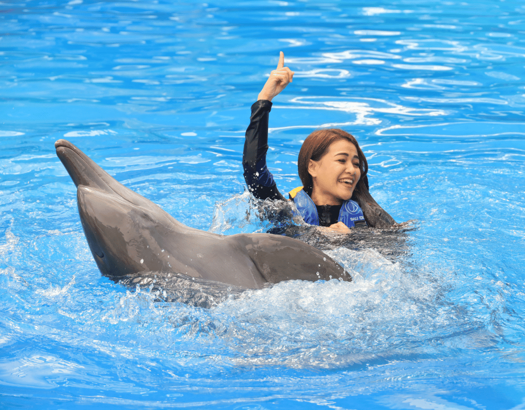 Bali Dolphin: Discovery Program "Swim with Dolphin"