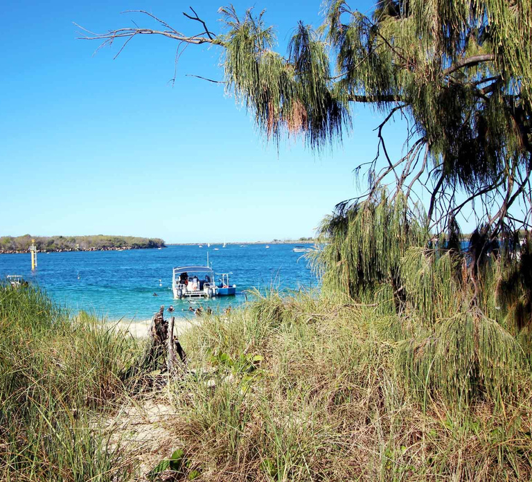 Gold Coast: Snorkelling in Wave Break Island