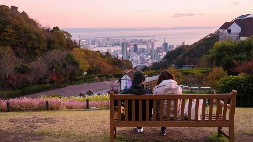 Kobe Half Day Tour - Private & Personalized with a Local Guide Day Tours