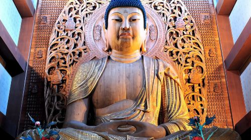Private Shrine & Food Tour w/ English Guide Day Tours