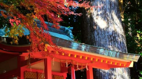 1-Day Tour of Kumano-Kodo Nakahechi Pilgrimage Route in Japan – Customize Your Itinerary