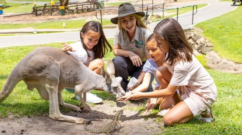 Currumbin Wildlife Sanctuary