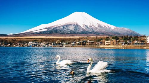 Hakone Ropeway Day Tours