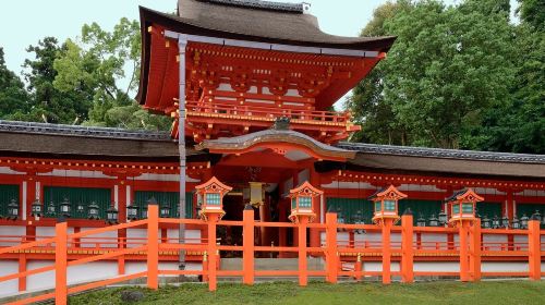 Nara Tōdai-ji, Mount Wakakusa, Kohfukuji Temple and Kasugataisha Shrine sightseeing bus
