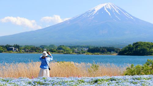 One-day tour of Mount Fuji's popular Instagram attractions, including Tianti Town, Kawaguchiko, Oshino Hakkai, and Lawson