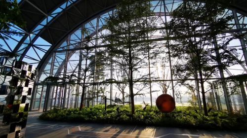 Chongqing Exploration Deck · Viewing Gallery