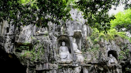 Hangzhou West Lake, Leifeng Pagoda, and Flower Harbor Fishing Day Tour (Chinese-language group tour)