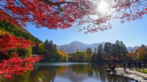1-day tour to Kyushu Wildlife Park African Safari – Beppu Umi Jigoku