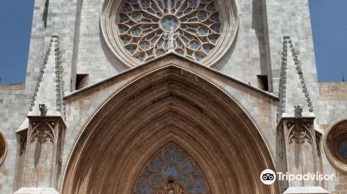 Catedral Basilica Metropolitana Primada de Tarragona