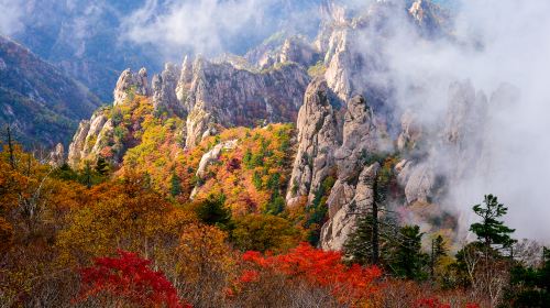 Mt. Seoraksan National Park + Nami Island One Day Tour – Depart From Seoul • Natural Breathtaking View