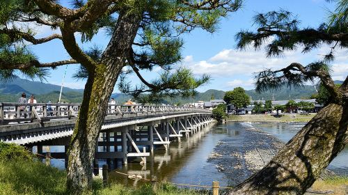 Ultimate Kyoto Arashiyama Tour: Bamboo, Monkeys & Hidden Gardens Day Tours