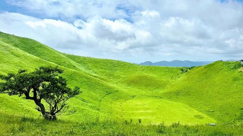 Tokyo 1-day tour to Mt. Omuro + Jogasaki Coast + Ito Marine Town, including free cable car ride at Mt. Omuro