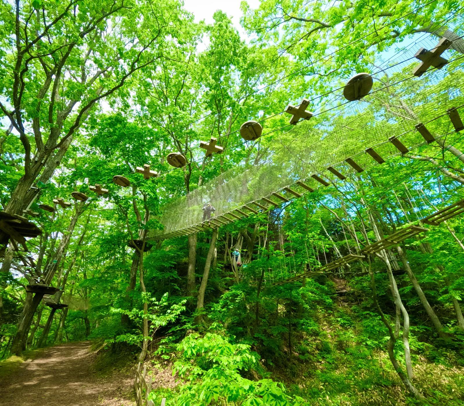 Hokkaido Forest Adventure ENIWA