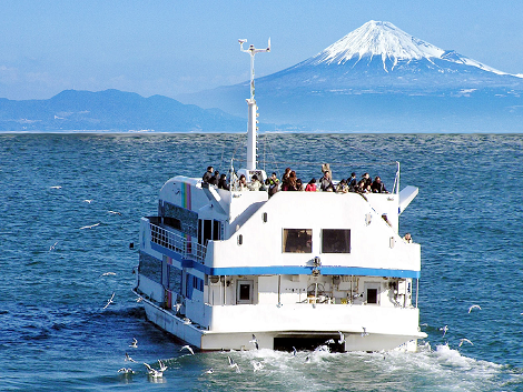 Mt. Fuji & Shimizu Port Cruise