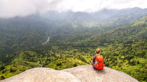 1-day tour to Yakushima's Shiratani Unsuikyo ravine – Step into the magical moss kingdom of Princess Mononoke