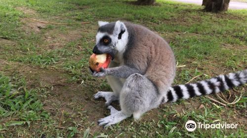 Pombia Safari Park