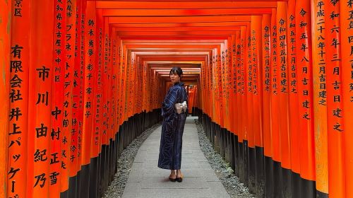 Kyoto Early Bird English Tour: Fushimi Inari & Gion(Private opt) Day Tours