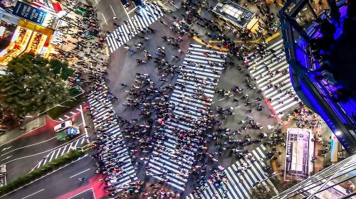 Tokyo Private Tour by Vehicle with English-Speaking Chauffeur Day Tours