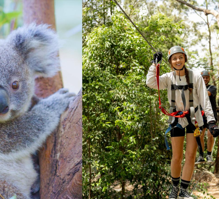 Currumbin Wildlife Sanctuary & High Ropes and Ziplines