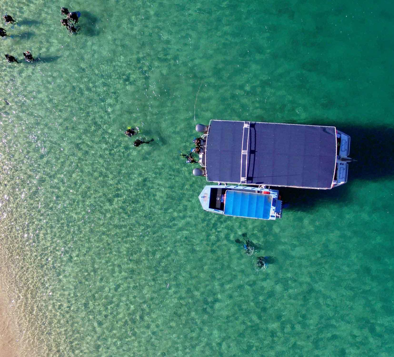 Gold Coast: 3-Day PADI Open Water Course
