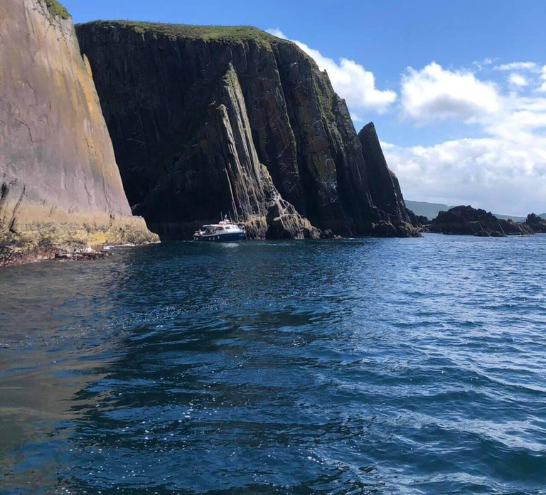 Dingle: Dingle Bay Cliffs Boat Tour with Guide (1 Hour)