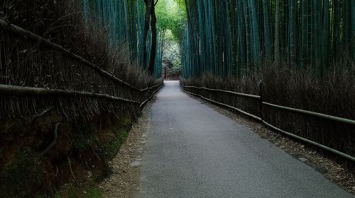 Kyoto Bamboo Forest & Golden Pavilion E-Bike Tour Day Tours