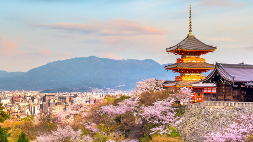 Optional small group for 9 people · 1-day tour to Osaka, Kyoto and Nara