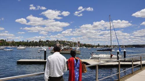 Sydney: City Highlights Guided Bus Tour Day Tours