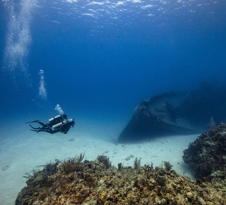 From Dubai: 2 Dives for Certified Divers with Transfer