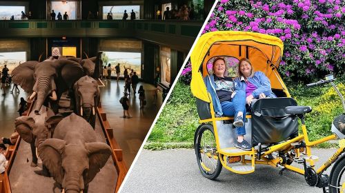 Central Park Pedicab Tour with Natural History Museum Access Day Tours