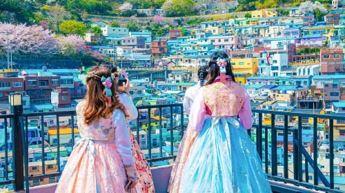 Busan One Day City Tour with Blueline Park Songjeong Beach Train