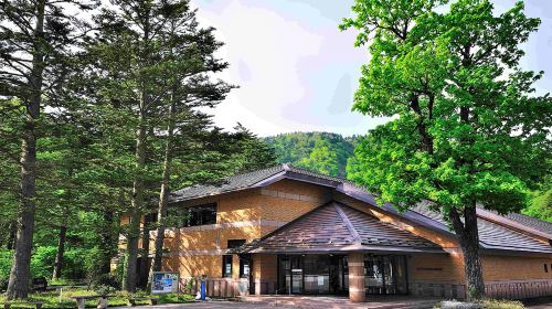 [E-ticket] Tobu Railway Nikko Pass (All Area 4-day Pass / World Heritage 2-day Pass) Transport Passes