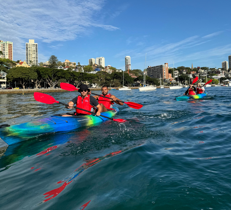Sydney: Harbour Sunrise Kayak Tour