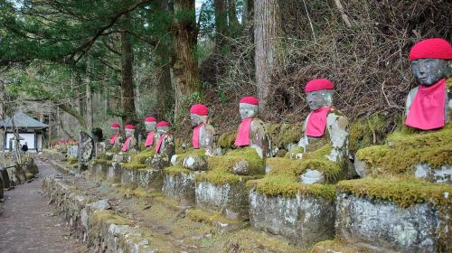 Tokyo to Nikko: Day Trip Custom Day Tour Day Tours