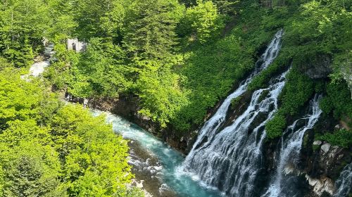 Popular 1-day tour to Biei and Furano in Hokkaido - Farm Tomita + Shirogane Blue Pond (Aoiike) + Shirahige Waterfall