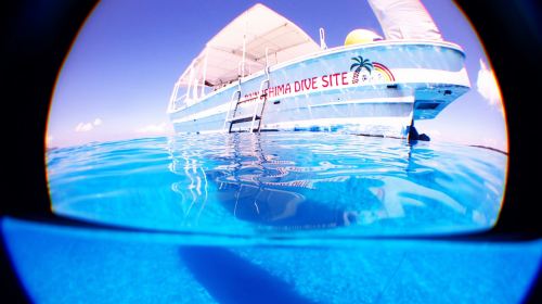Okinawa Minami Island DIVESITE